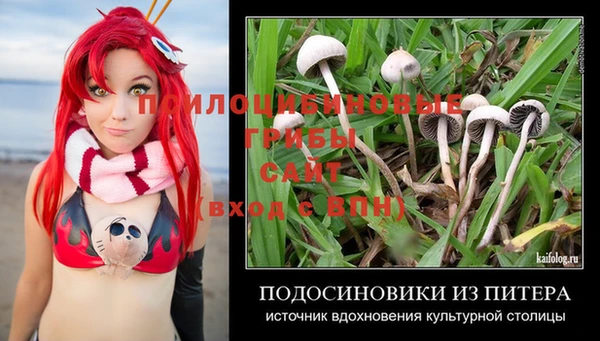 МДПВ Абинск