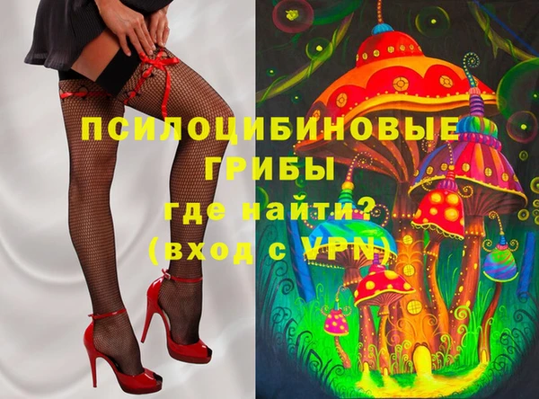 метадон Алексин