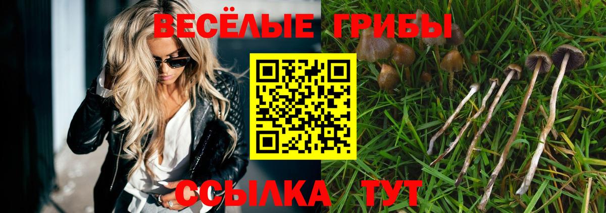 Галлюциногенные грибы мухоморы Якутск