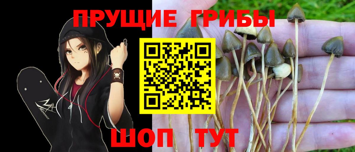 Псилоцибиновые грибы прущие грибы  Вход с VPN  Якутск 